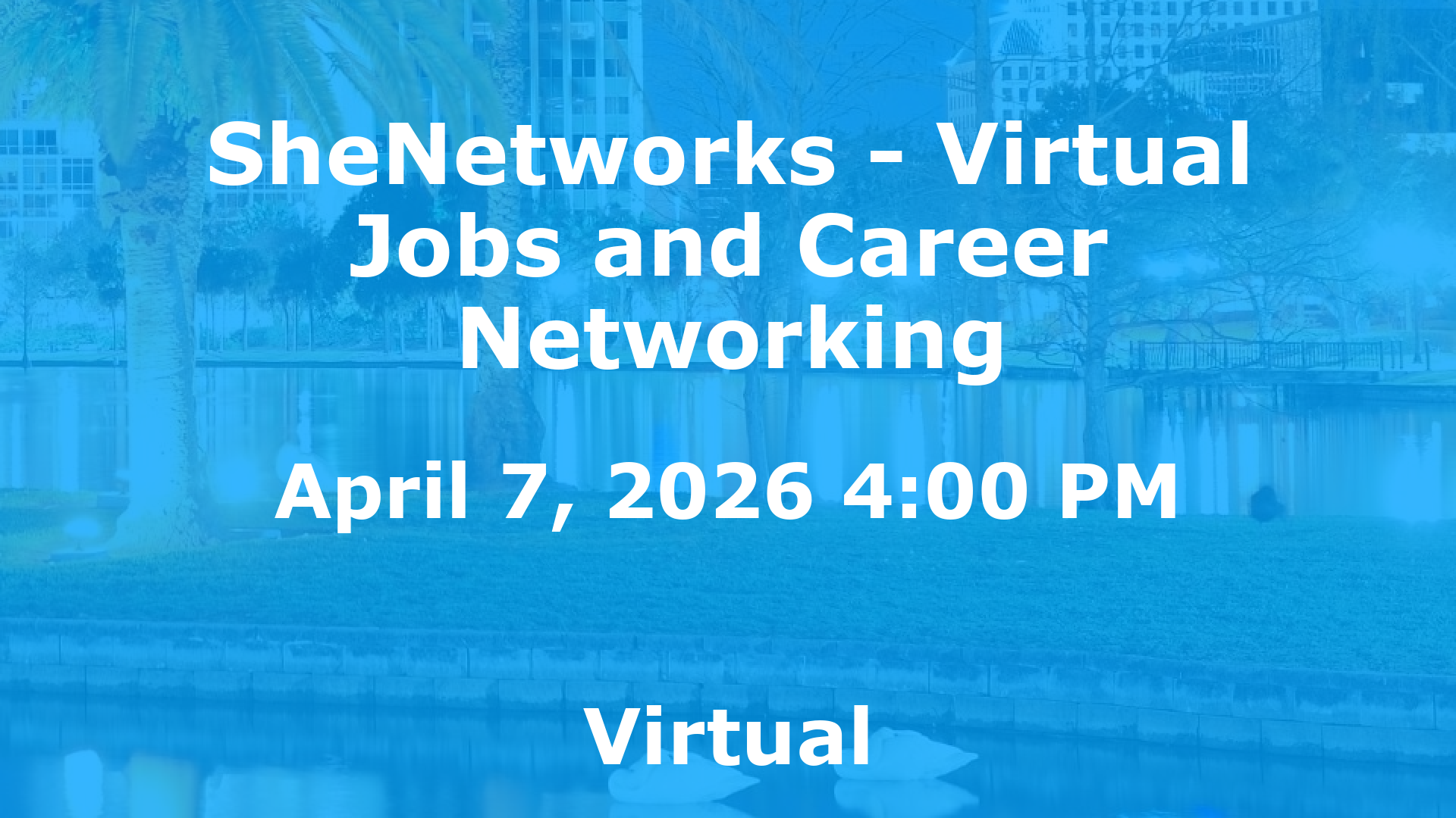 SheNetworks - Virtual Jobs and Career Networking event image